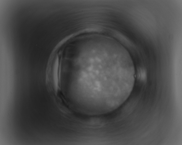 X0000100930388200807081217