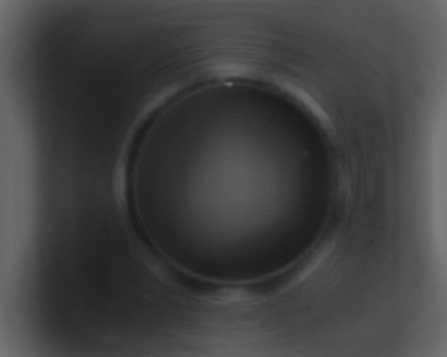 X0000100930391200807081217