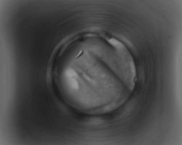 X0000100930392200807081217