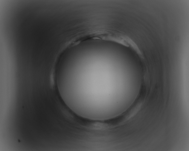 X0000100930393200807081217