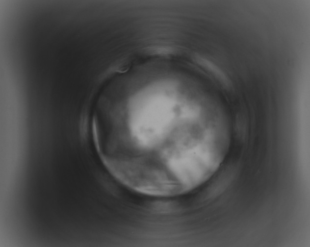 X0000100930394200807081217