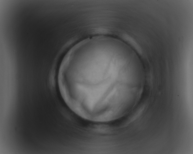 X0000100930395200807081217