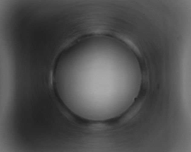 X0000100930397200807081217