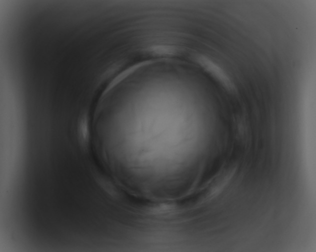 X0000100930398200807081217