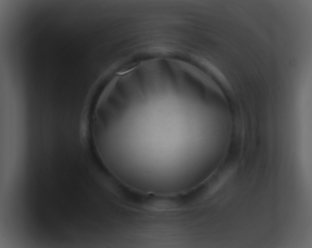 X0000100930399200807081217