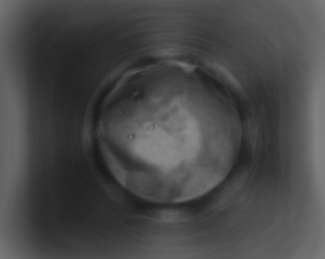 X0000100930400200807081217