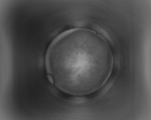 X0000100930401200807081217