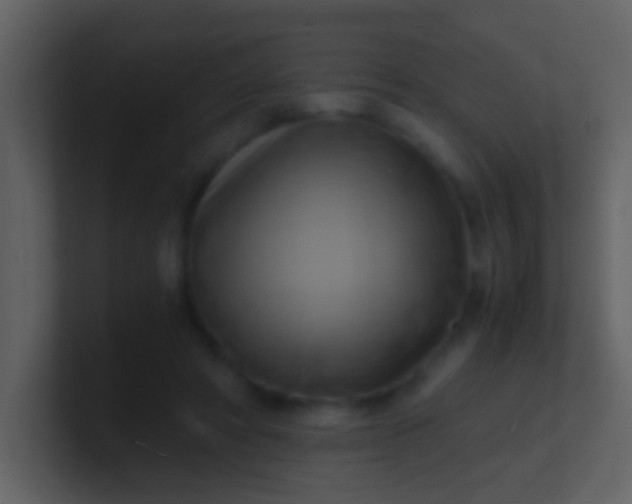 X0000100930402200807081217