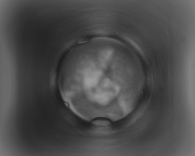 X0000100930403200807081217