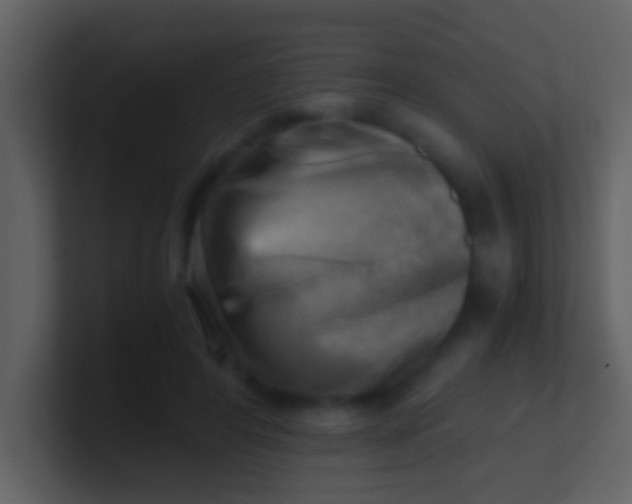 X0000100930404200807081217