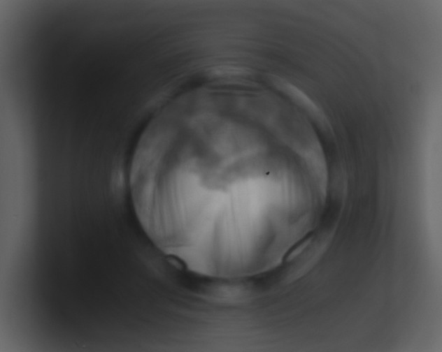 X0000100930405200807081217