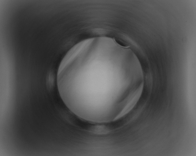 X0000100930406200807081217