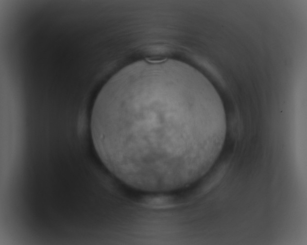 X0000100930407200807081217