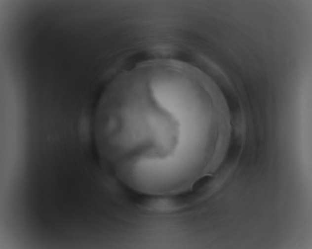 X0000100930409200807081217