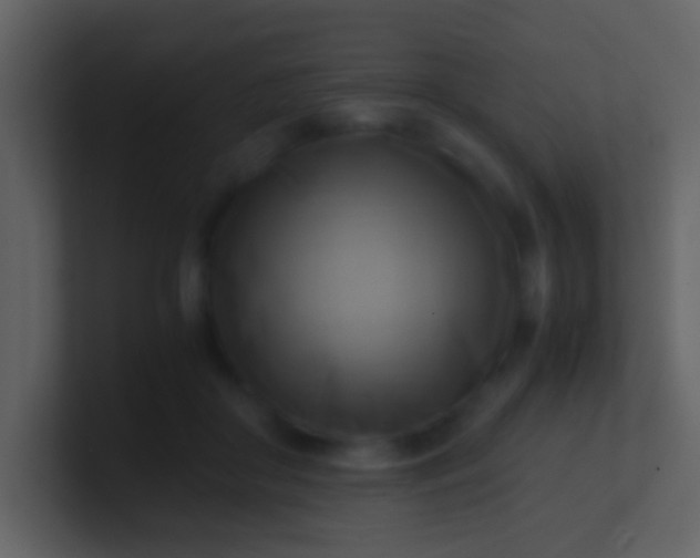 X0000100930410200807081217