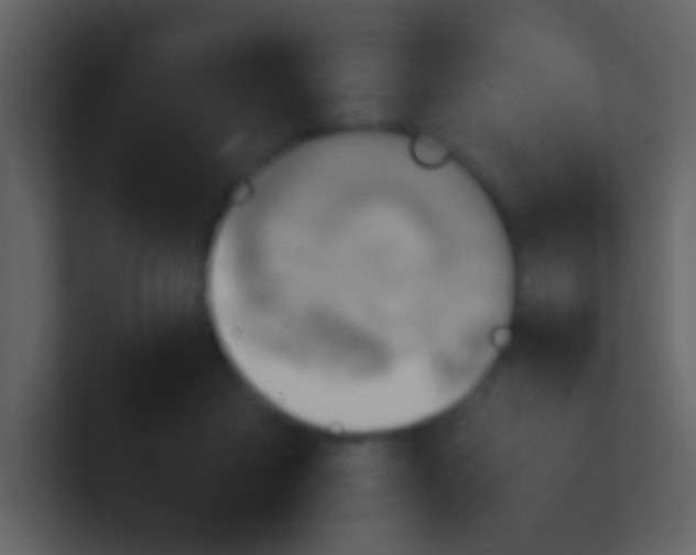 X0000100930411200807081217