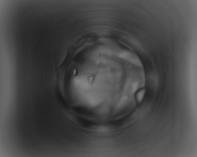 X0000100930412200807081217