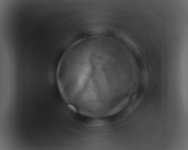 X0000100930413200807081217