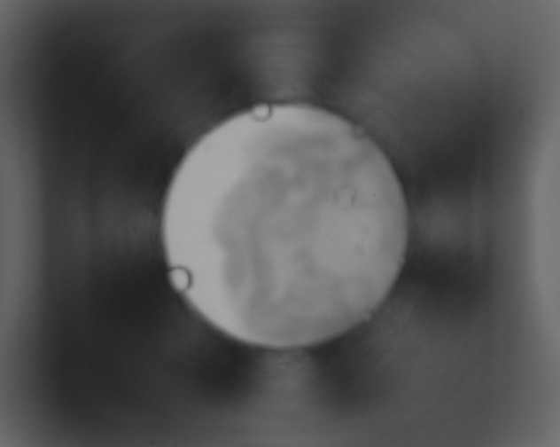 X0000100930415200807081217