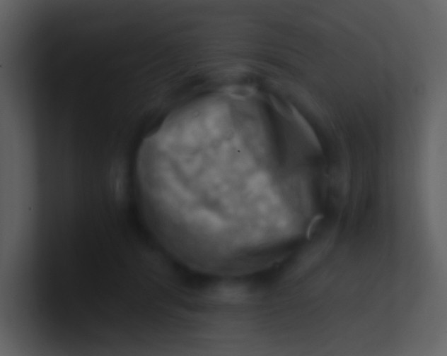 X0000100930416200807081217