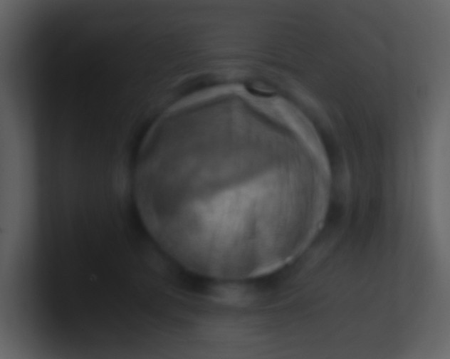 X0000100930417200807081217