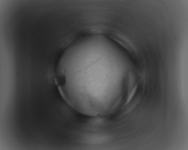 X0000100930418200807081217