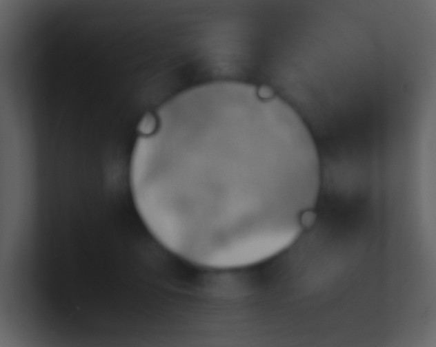 X0000100930419200807081217