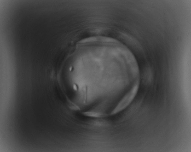 X0000100930420200807081217