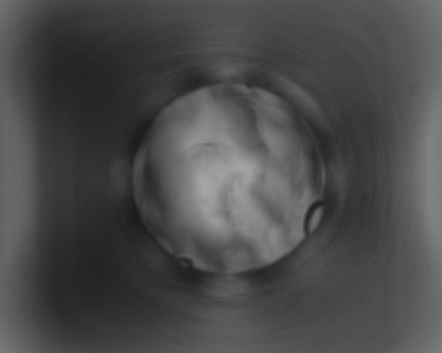 X0000100930421200807081217