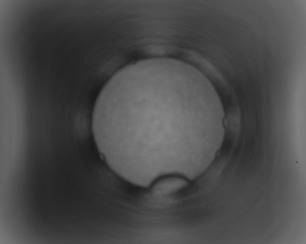 X0000100930422200807081217