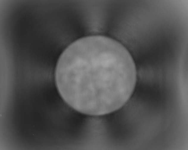 X0000100930423200807081217