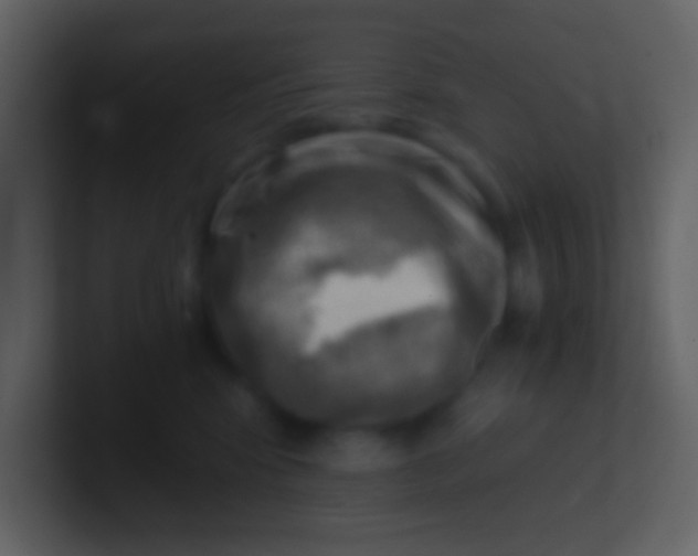 X0000100930424200807081217