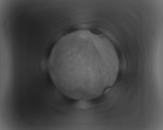 X0000100930425200807081217