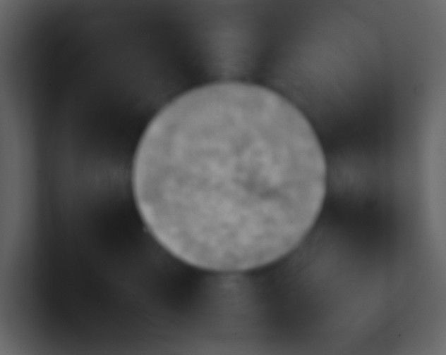 X0000100930427200807081217