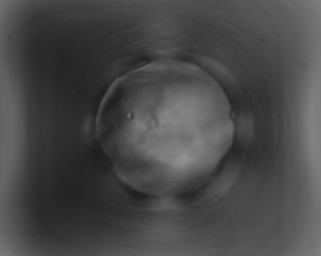 X0000100930428200807081217