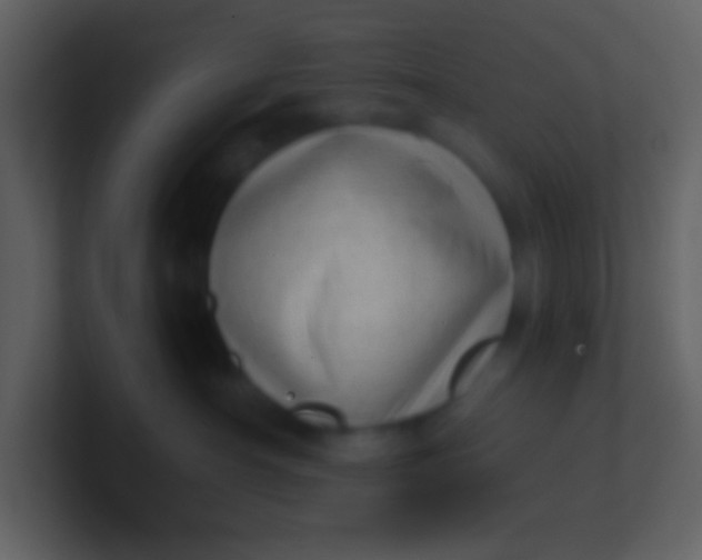 X0000100930430200807081217