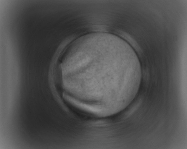 X0000100930433200807081216