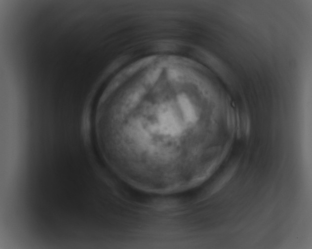 X0000100930435200807081216