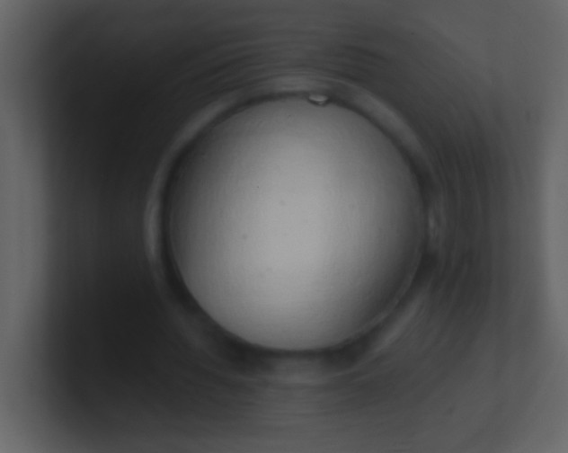 X0000100930436200807081216