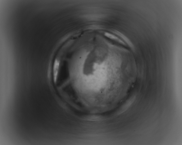 X0000100930437200807081216