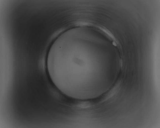 X0000100930438200807081216