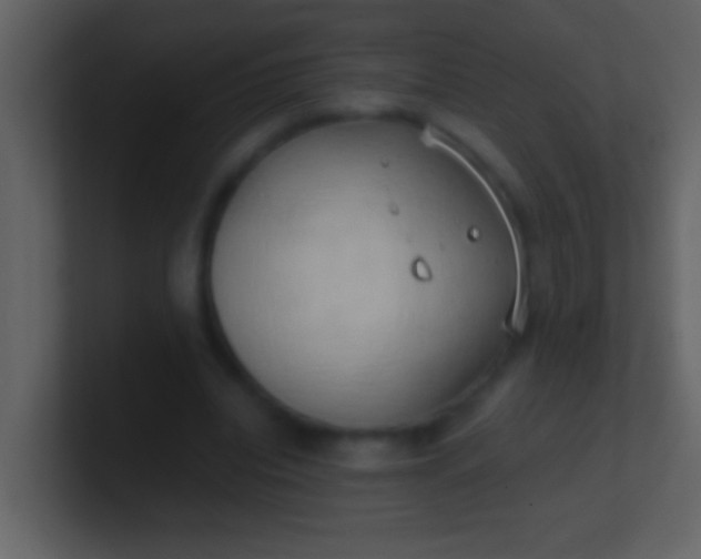 X0000100930440200807081216