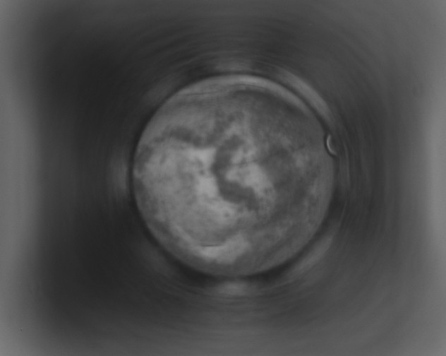 X0000100930441200807081216