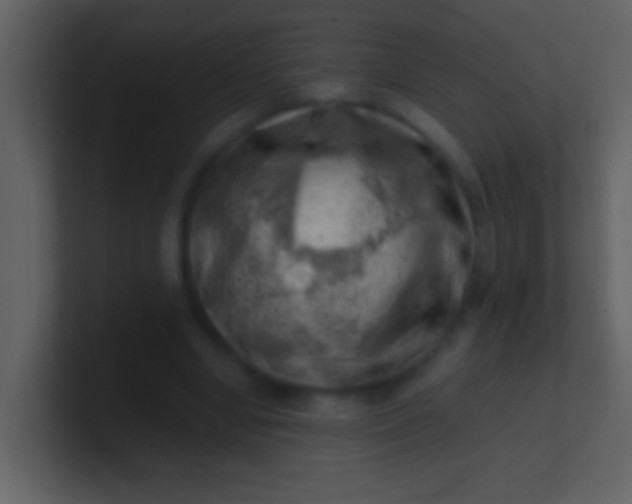 X0000100930442200807081216