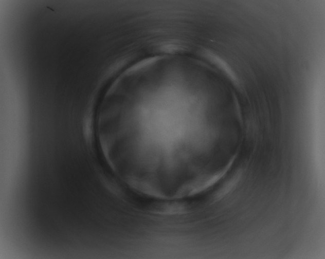 X0000100930443200807081216