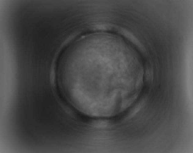 X0000100930444200807081216