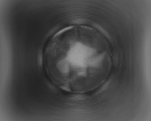 X0000100930446200807081216