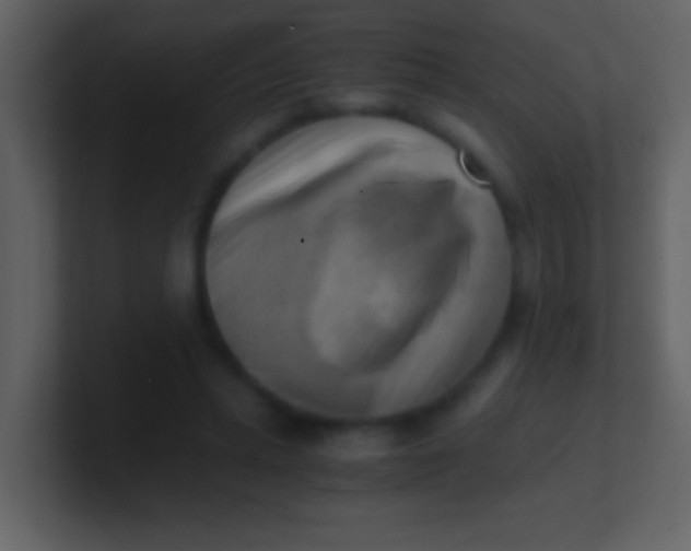 X0000100930447200807081216