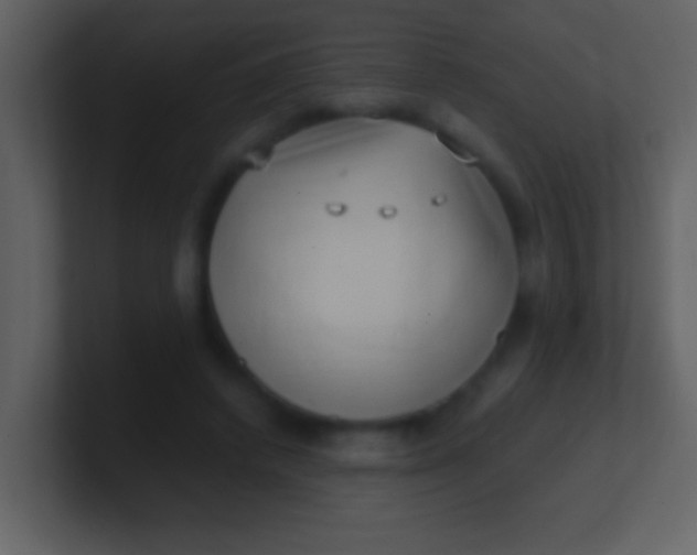 X0000100930448200807081216