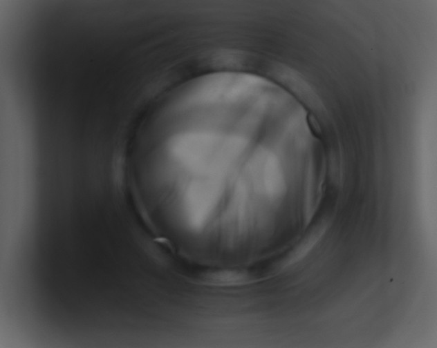 X0000100930449200807081216